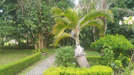 Garden_001