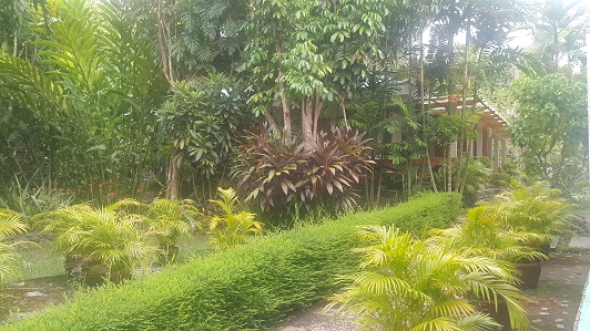 Garden_002