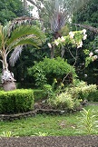 Garden_003