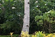 Garden_005