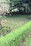 Garden_006