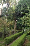 Garden_007