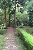 Garden_010