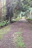 Garden_011