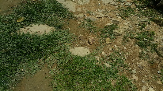 Ground_001