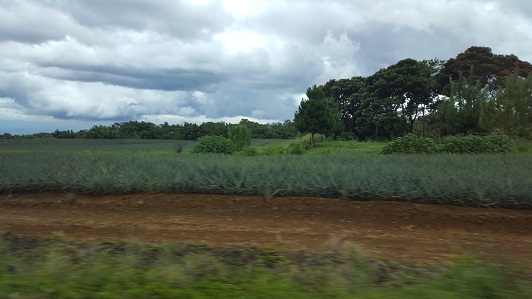 Land_Travel_003
