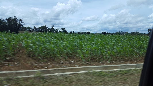 Land_Travel_004