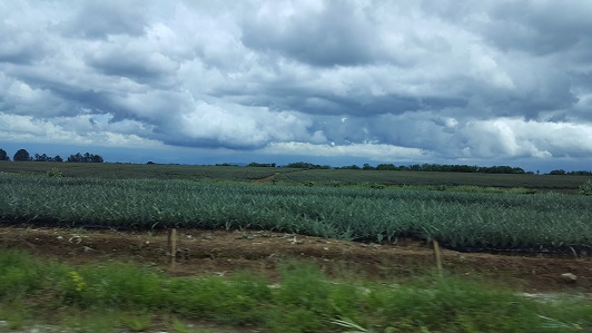 Land_Travel_005