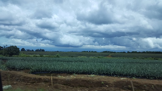Land_Travel_006
