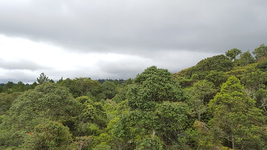 Land_Travel_007