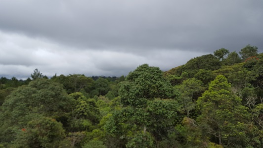 Land_Travel_008