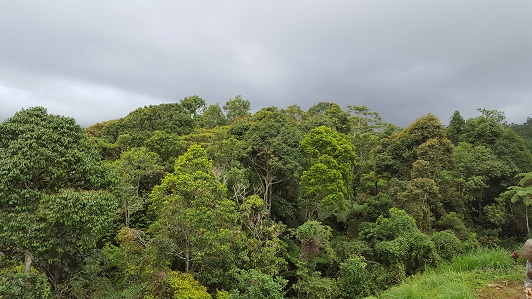 Land_Travel_009