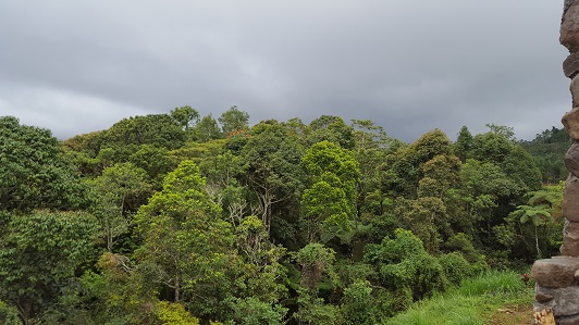 Land_Travel_011