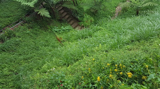 Land_Travel_014