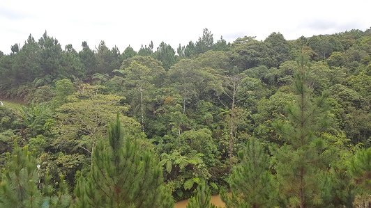 Land_Travel_020