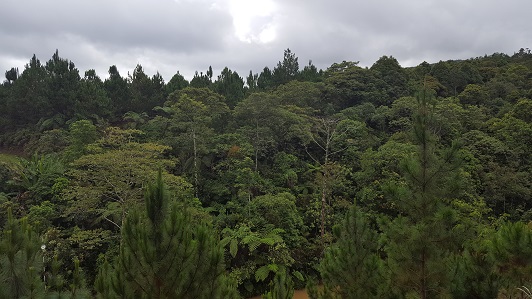 Land_Travel_021