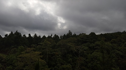 Land_Travel_022