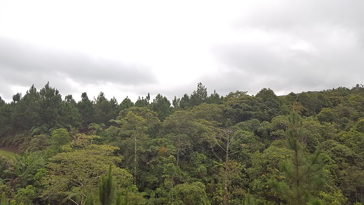 Land_Travel_023