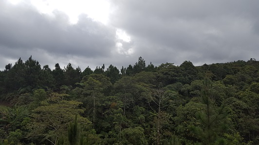 Land_Travel_024