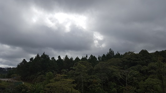 Land_Travel_025
