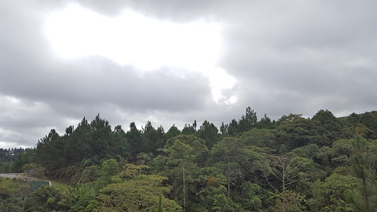 Land_Travel_026