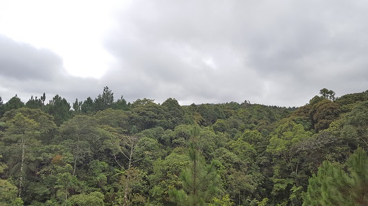 Land_Travel_027