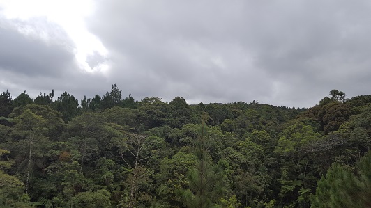 Land_Travel_028