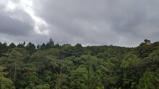 Land_Travel_029