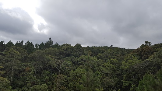 Land_Travel_030