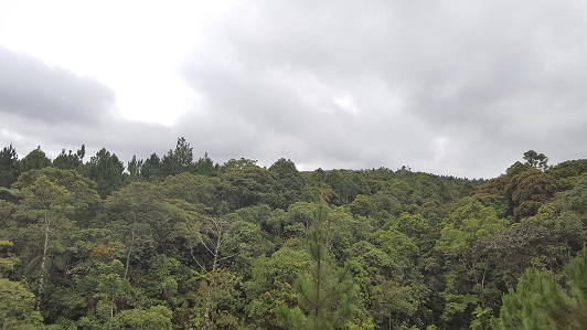 Land_Travel_031