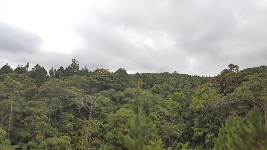 Land_Travel_032