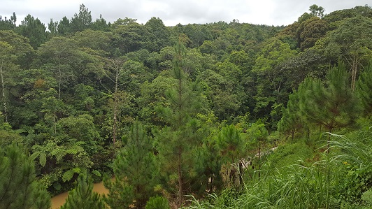 Land_Travel_033