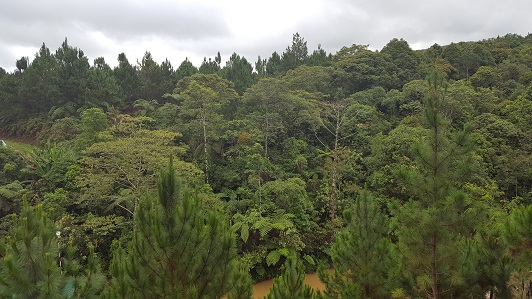 Land_Travel_035