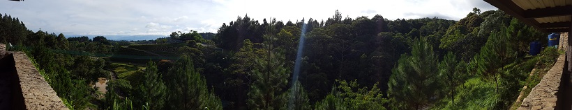 Land_Travel_036