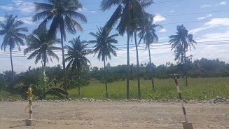 Land_Travel_050