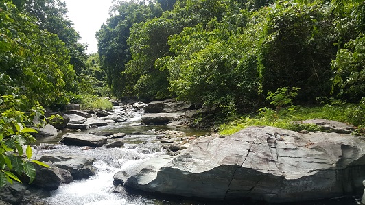 Rivers_001
