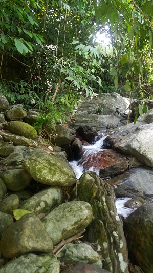 Rivers_004