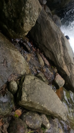 Rivers_005