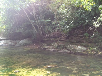 Rivers_011