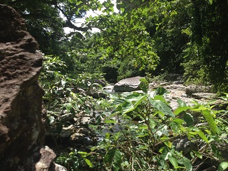 Rivers_012