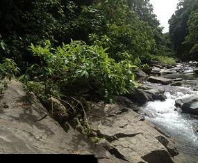Rivers_014