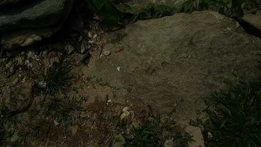 Rivers_015