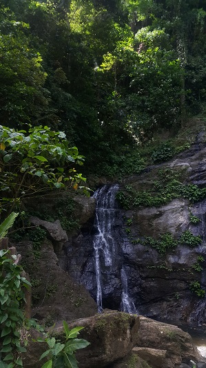 Water_Falls_004